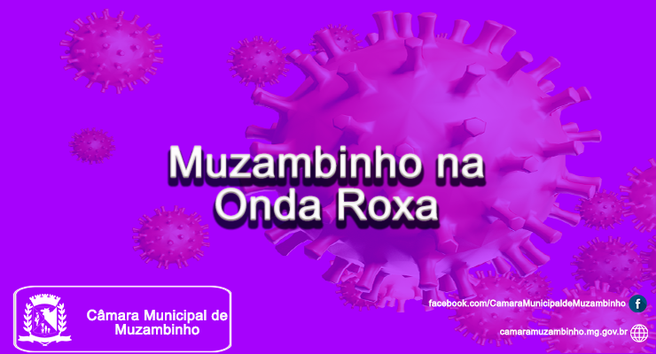 Muzambinho na Onda Roxa